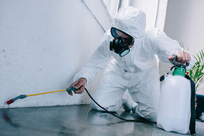 Pest Control Fresno
